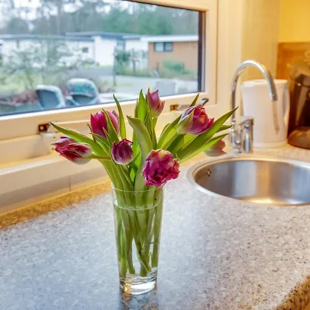 Quaint Holiday In With Garden Shed Vorden
